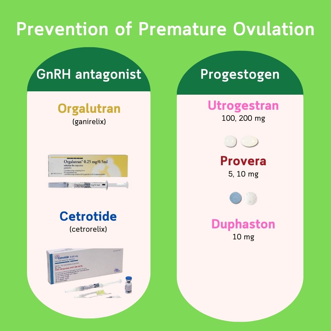 预防提前排卵 — GnRH 拮抗剂(Orgalutran、Cetrotide)与孕激素类(Utrogestran、Provera、Duphaston)