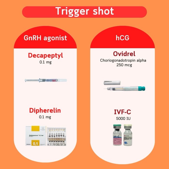 扳机针 — GnRH 激动剂(Decapeptyl、Diphereline)与 hCG(Ovidrel、IVF-C)
