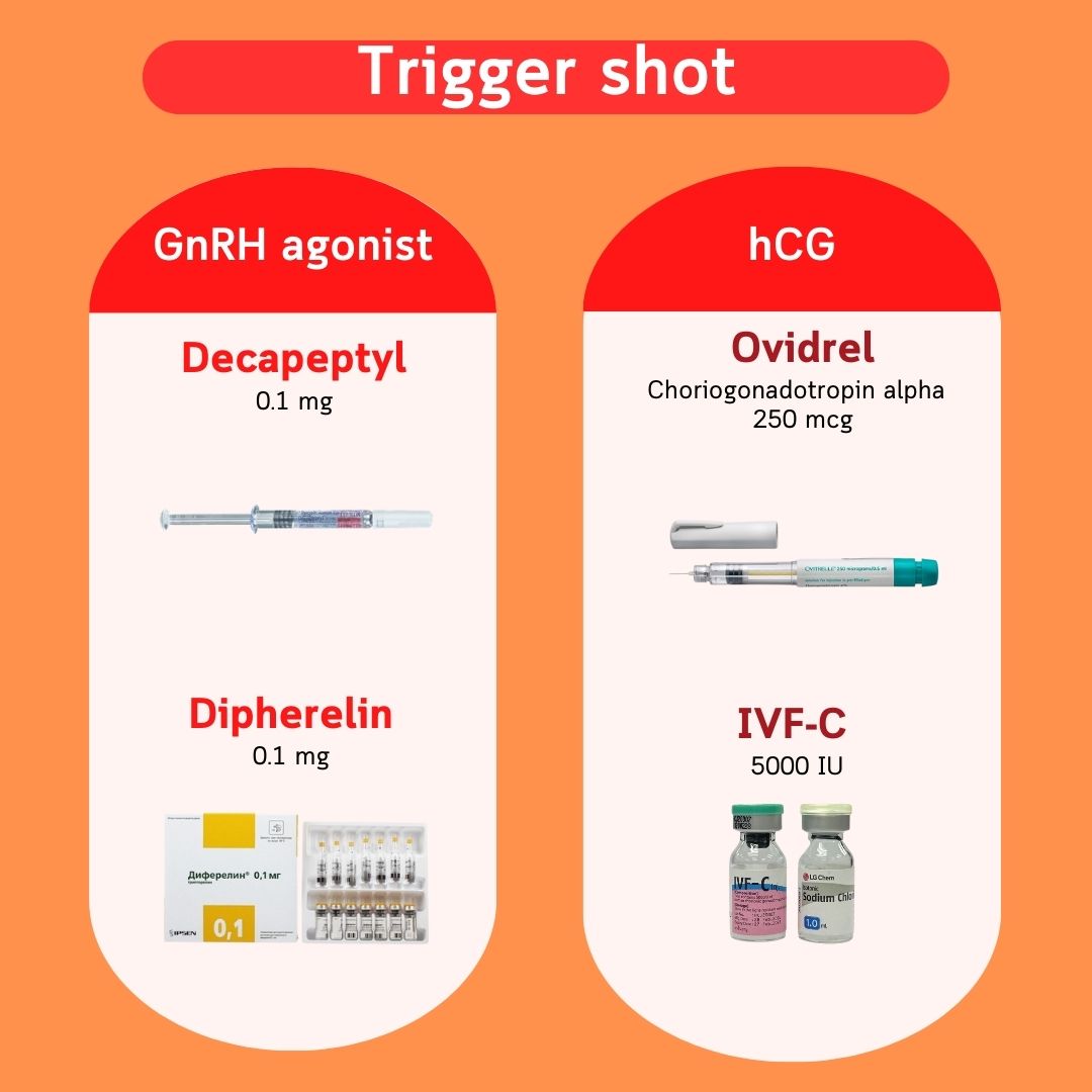 扳机针 — GnRH 激动剂(Decapeptyl、Diphereline)与 hCG(Ovidrel、IVF-C)