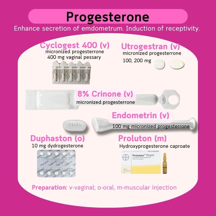 用于内膜准备与黄体支持的孕酮类药物 — Cyclogest、Utrogestran、Endometrin、Crinone、Duphaston、Proluton